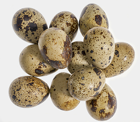 Image showing some quail eggs