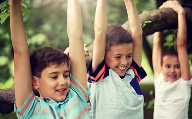 Image showing close up of kids hanging on tree in summer park