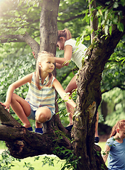 Image showing happy kids climbing up tree in summer park