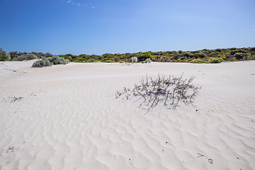 Image showing white dune sand scenery western Australia