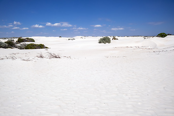 Image showing white dune sand scenery western Australia