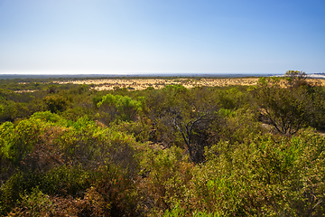 Image showing Pinnacles sand desert Western Australia