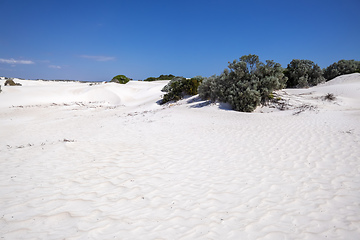 Image showing white dune sand scenery western Australia