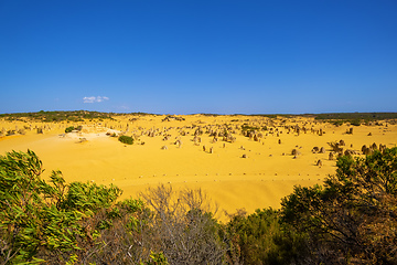 Image showing Pinnacles sand desert Western Australia