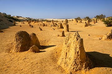 Image showing Pinnacles sand desert Western Australia