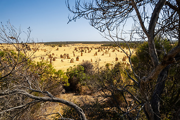 Image showing Pinnacles sand desert Western Australia