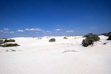 Image showing white dune sand scenery western Australia