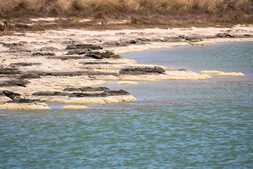 Image showing Stromatolites Lake Thetis Western Australia