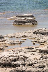 Image showing Stromatolites Lake Thetis Western Australia