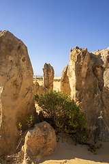 Image showing Pinnacles sand desert Western Australia