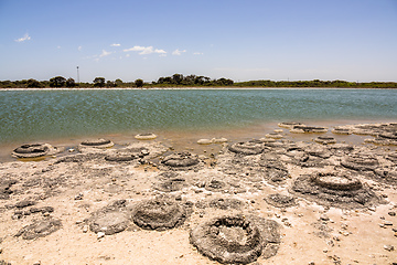 Image showing Stromatolites Lake Thetis Western Australia