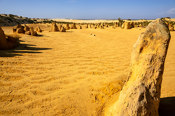 Image showing Pinnacles sand desert Western Australia