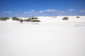 Image showing white dune sand scenery western Australia