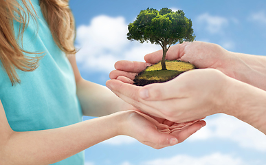 Image showing close up of father's and girl's hands holding tree