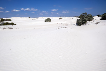 Image showing white dune sand scenery western Australia