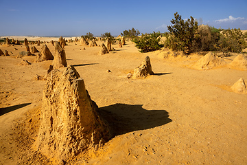 Image showing Pinnacles sand desert Western Australia