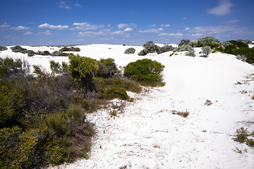 Image showing white dune sand scenery western Australia