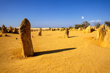 Image showing Pinnacles sand desert Western Australia