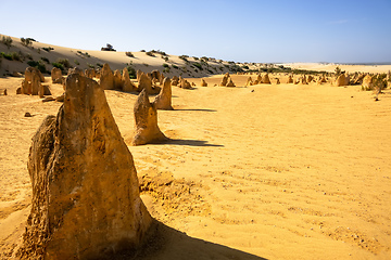 Image showing Pinnacles sand desert Western Australia