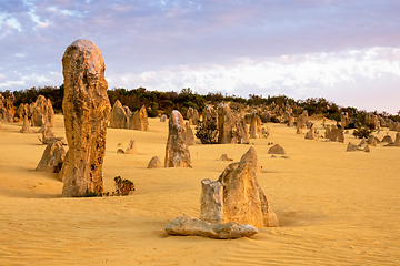 Image showing Pinnacles Desert in western Australia