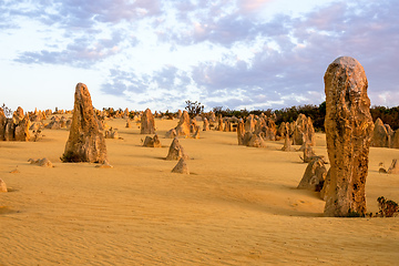 Image showing Pinnacles Desert in western Australia