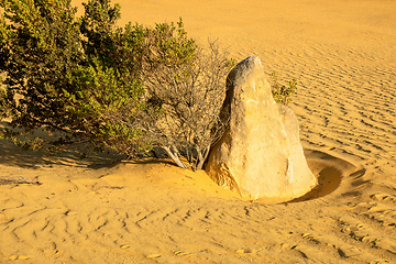 Image showing Pinnacles Desert in western Australia