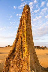 Image showing Pinnacles Desert in western Australia