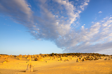 Image showing Pinnacles Desert in western Australia