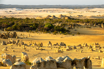 Image showing Pinnacles Desert in western Australia