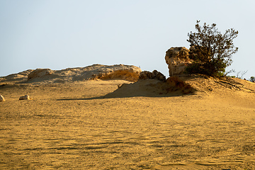 Image showing Pinnacles Desert in western Australia