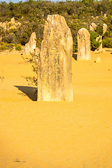 Image showing Pinnacles Desert in western Australia