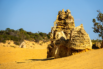 Image showing Pinnacles Desert in western Australia