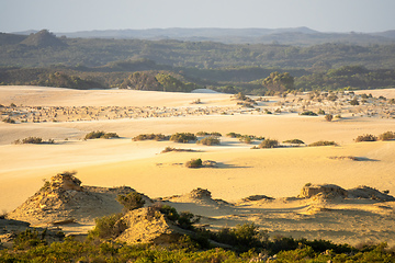 Image showing Pinnacles Desert in western Australia