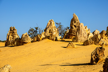 Image showing Pinnacles Desert in western Australia