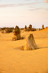 Image showing Pinnacles Desert in western Australia