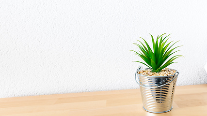 Image showing succulent on a table white background