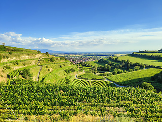 Image showing beautiful scenery at Kaiserstuhl Germany