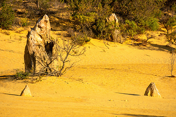 Image showing Pinnacles Desert in western Australia