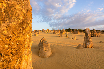 Image showing Pinnacles Desert in western Australia