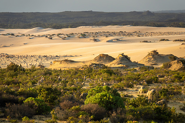 Image showing Pinnacles Desert in western Australia