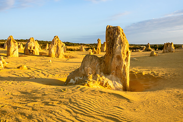 Image showing Pinnacles Desert in western Australia