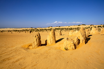 Image showing Pinnacles sand desert Western Australia