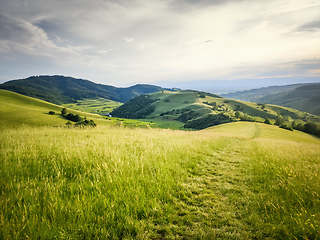 Image showing green meadow with path to the horizon