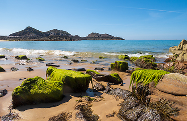 Image showing Wave and green on stones in Erquy