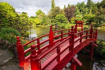 Image showing Red bridge in Japanese garden