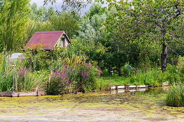 Image showing Marshes and shed in Bourges