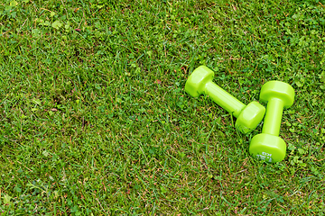 Image showing Green ladie's dumbbles on the green grass background