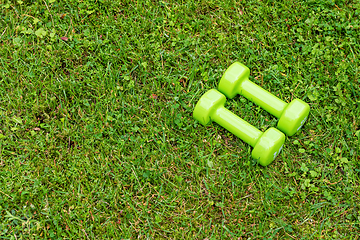 Image showing Green ladie's dumbbles on the green grass background