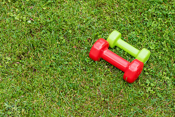 Image showing Ladie's dumbbles on the green grass background