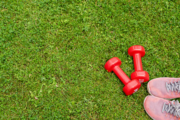 Image showing Ladie's dumbbles and sneakers on the green grass background